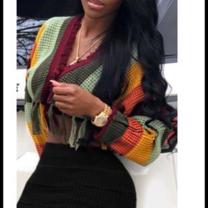 MultiColor Tassel sweater